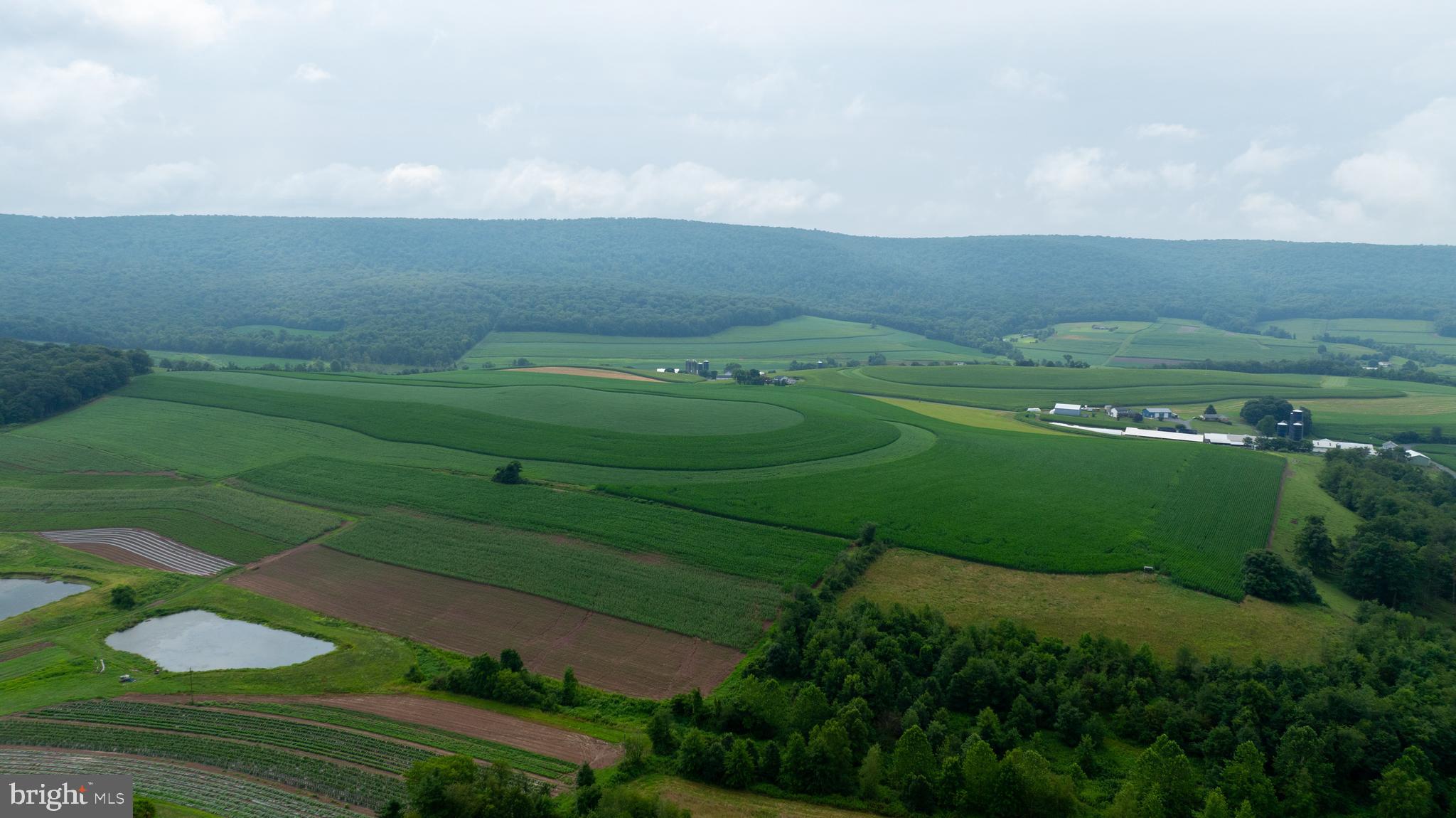 15 Snyder Road Pitman, PA 17964 - Photo 4 of 120