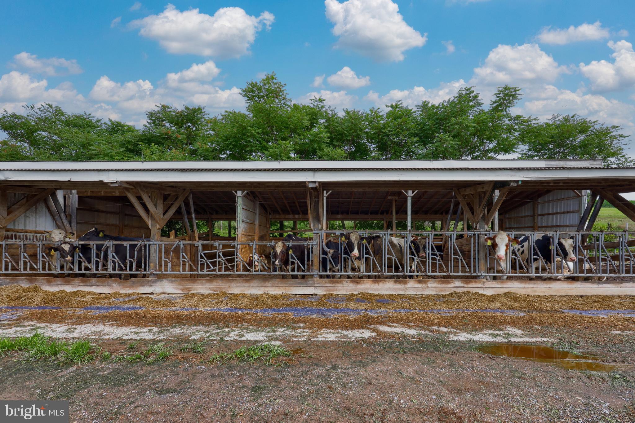 15 Snyder Road Pitman, PA 17964 - Photo 46 of 120