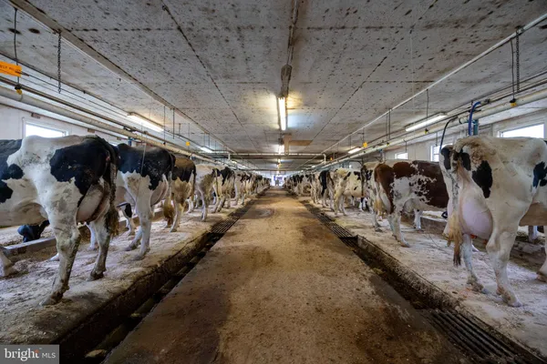 $2,300,000 | 15 Snyder Road, Pitman, PA 17964