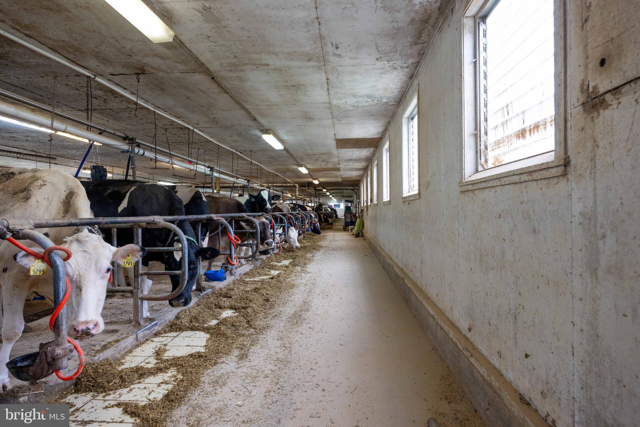 15 Snyder Road Pitman, PA 17964 - Photo 55 of 120