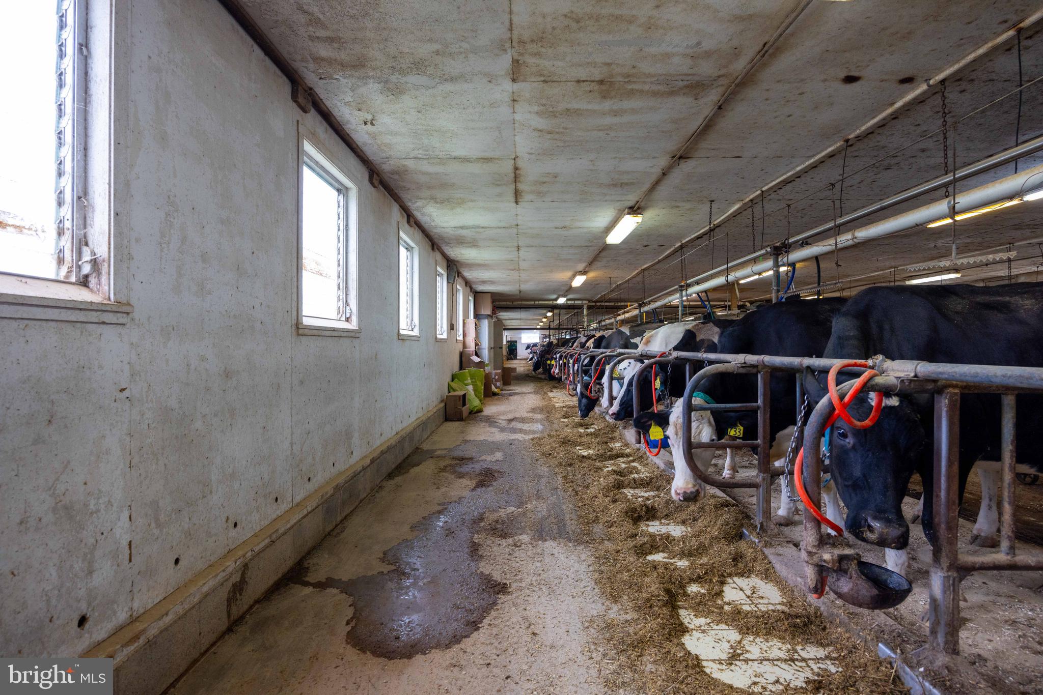 15 Snyder Road Pitman, PA 17964 - Photo 57 of 120 a view of a storage room with a lot of stuff