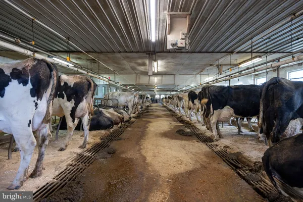 $2,300,000 | 15 Snyder Road, Pitman, PA 17964