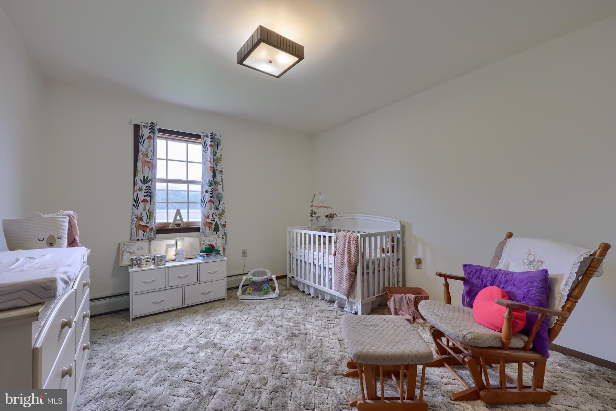 15 Snyder Road Pitman, PA 17964 - Photo 90 of 120