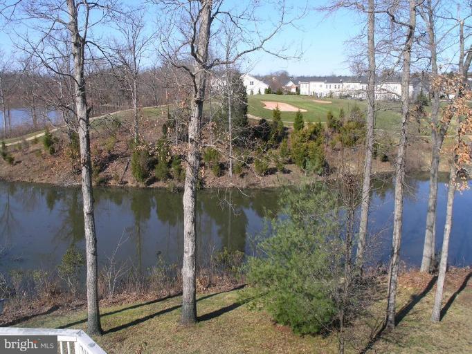 14456 Clubhouse Road Gainesville, VA 20155 - Photo 5 of 30 Back yard