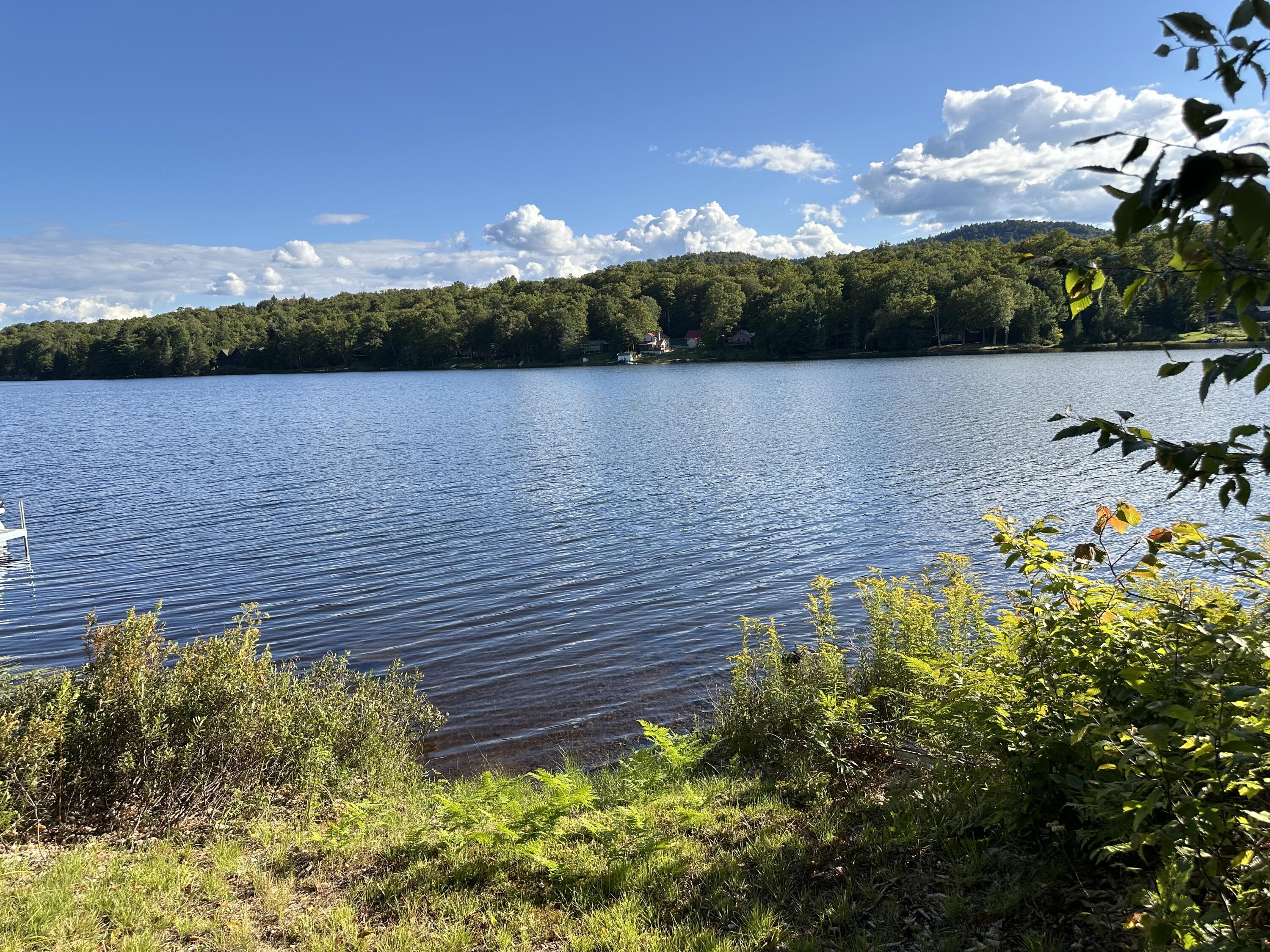 1028 Goodnow Flow Road Newcomb, NY 12852 - Photo 12 of 32 Gallery Image 12