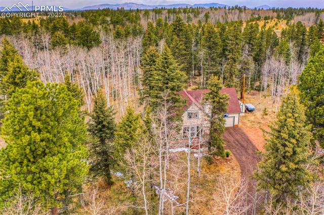 2096 Cedar Mountain Road Divide, CO 80814 - Photo 34 of 42 Gallery Image 34