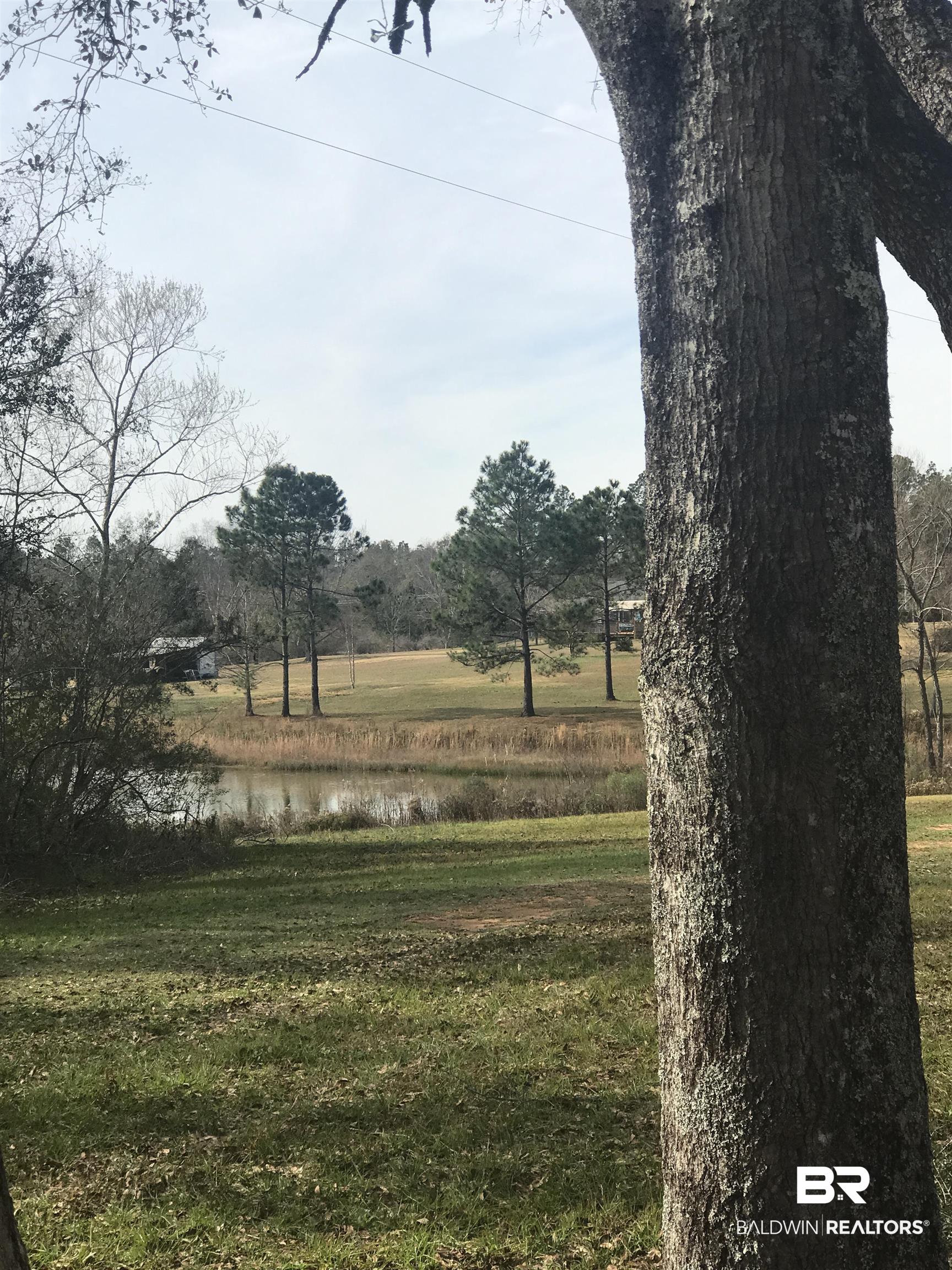 0 Steadham Lane Robertsdale, AL 36567 - Photo 2 of 24