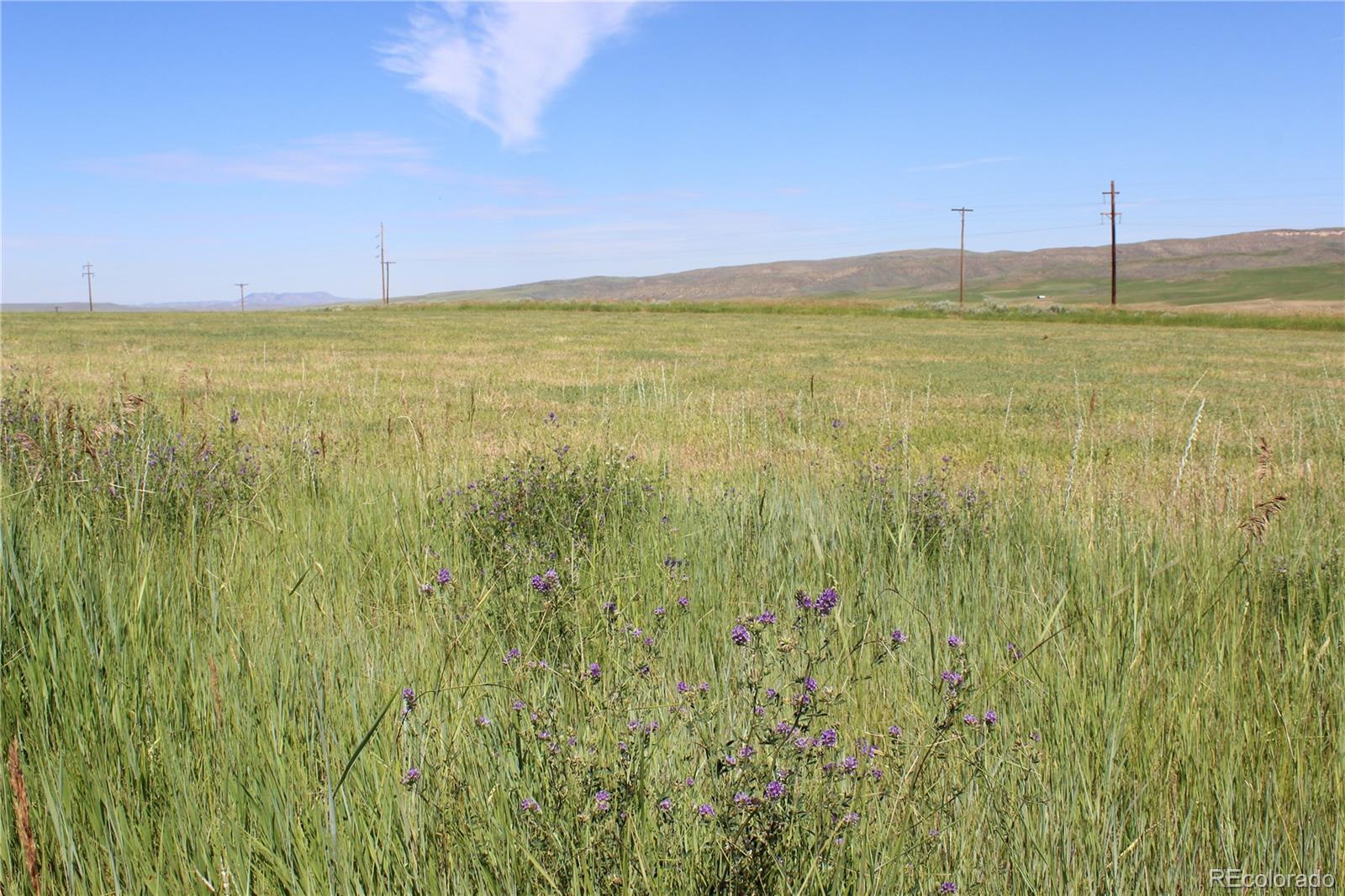 38815 Ridge Line Court Hayden, CO 81639 - Photo 7 of 10 Gallery Image 7