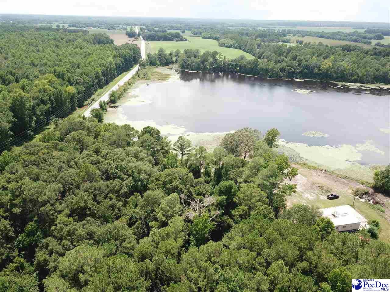 1040 Woodrow Road Bishopville, SC 29010 - Photo 14 of 17 Gallery Image 14