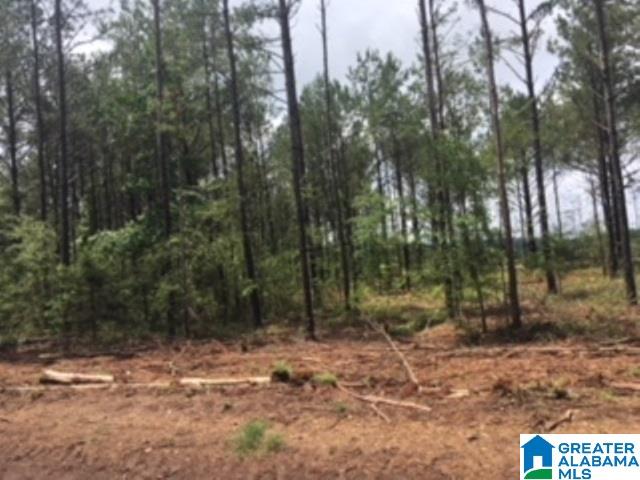 325 Springhill Road, Unit 1 Talladega, AL 35160 - Photo 4 of 31