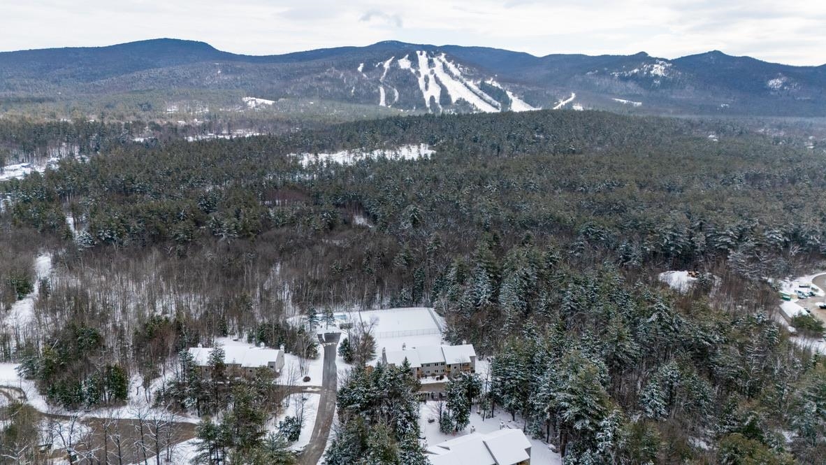 16 Purple Finch Road, Unit 71 North Conway, NH 03860 - Photo 30 of 35