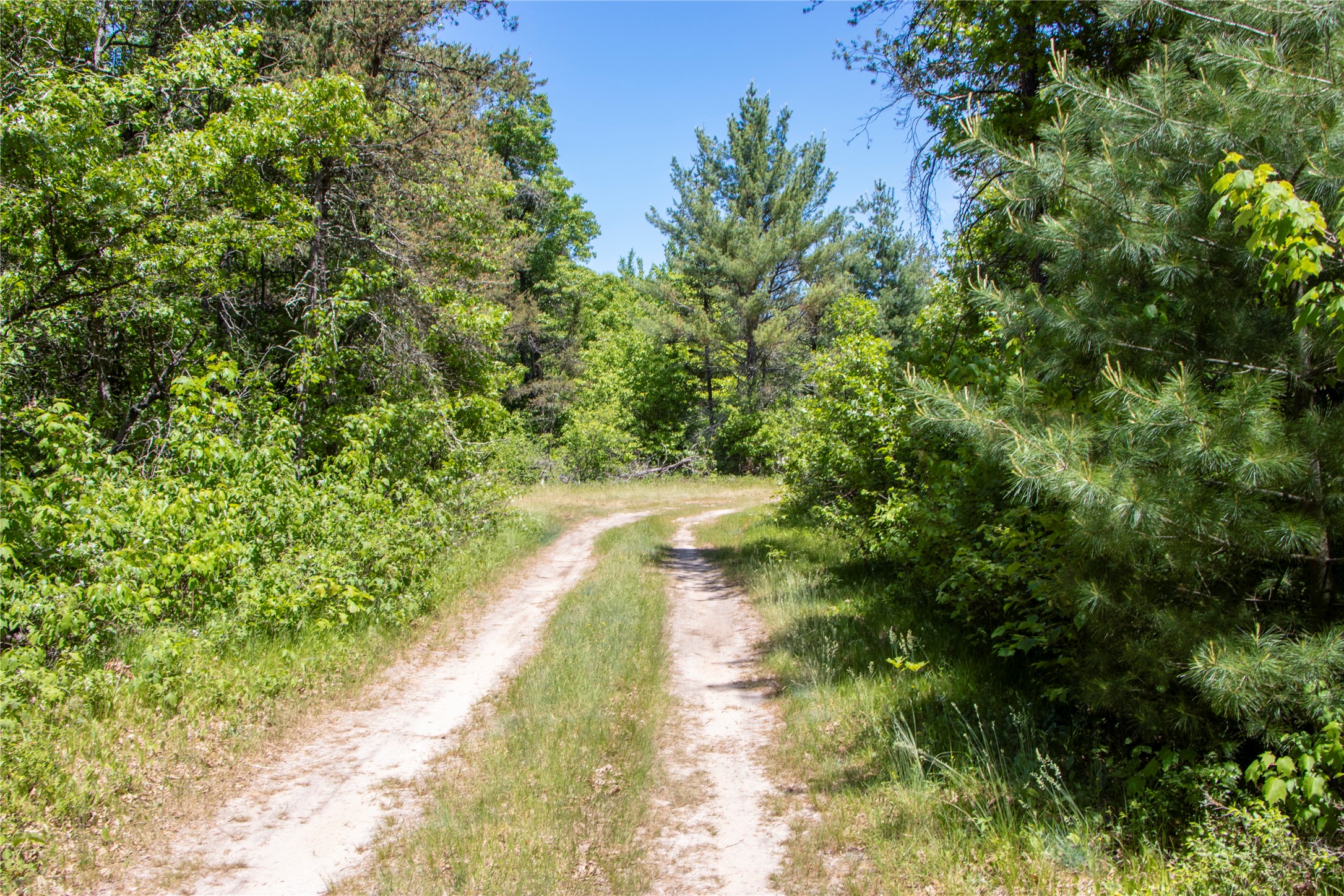 Lot 15 Gaels Lane Augusta, WI 54722 - Photo 9 of 16
