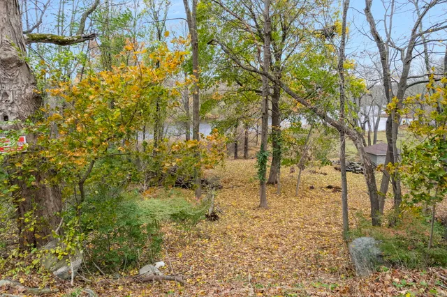a view of yard with trees