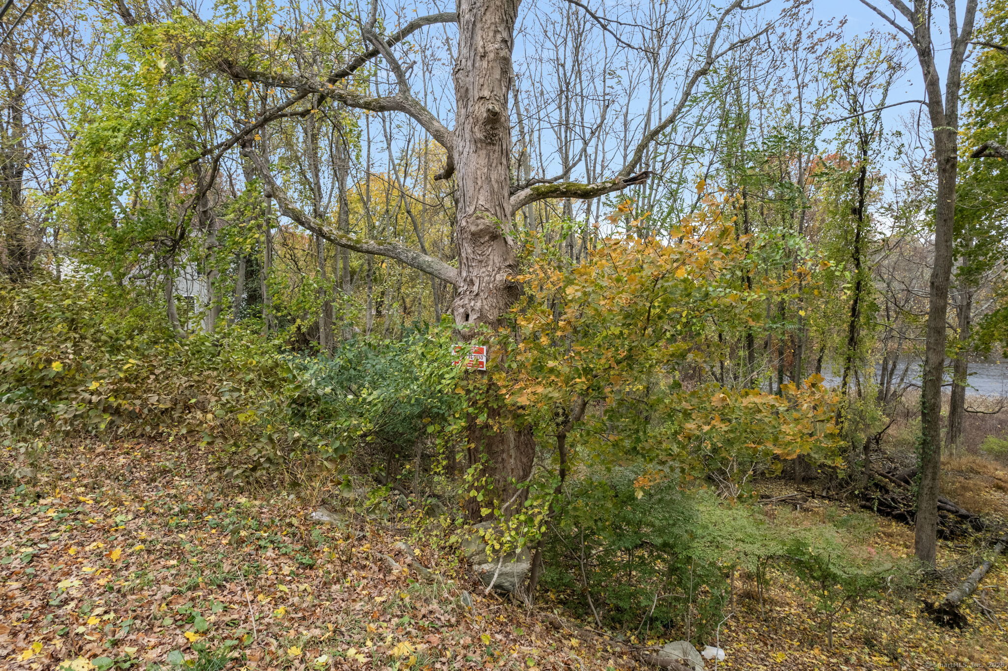 37 Katherine Avenue Killingly, CT 06239 - Photo 4 of 22