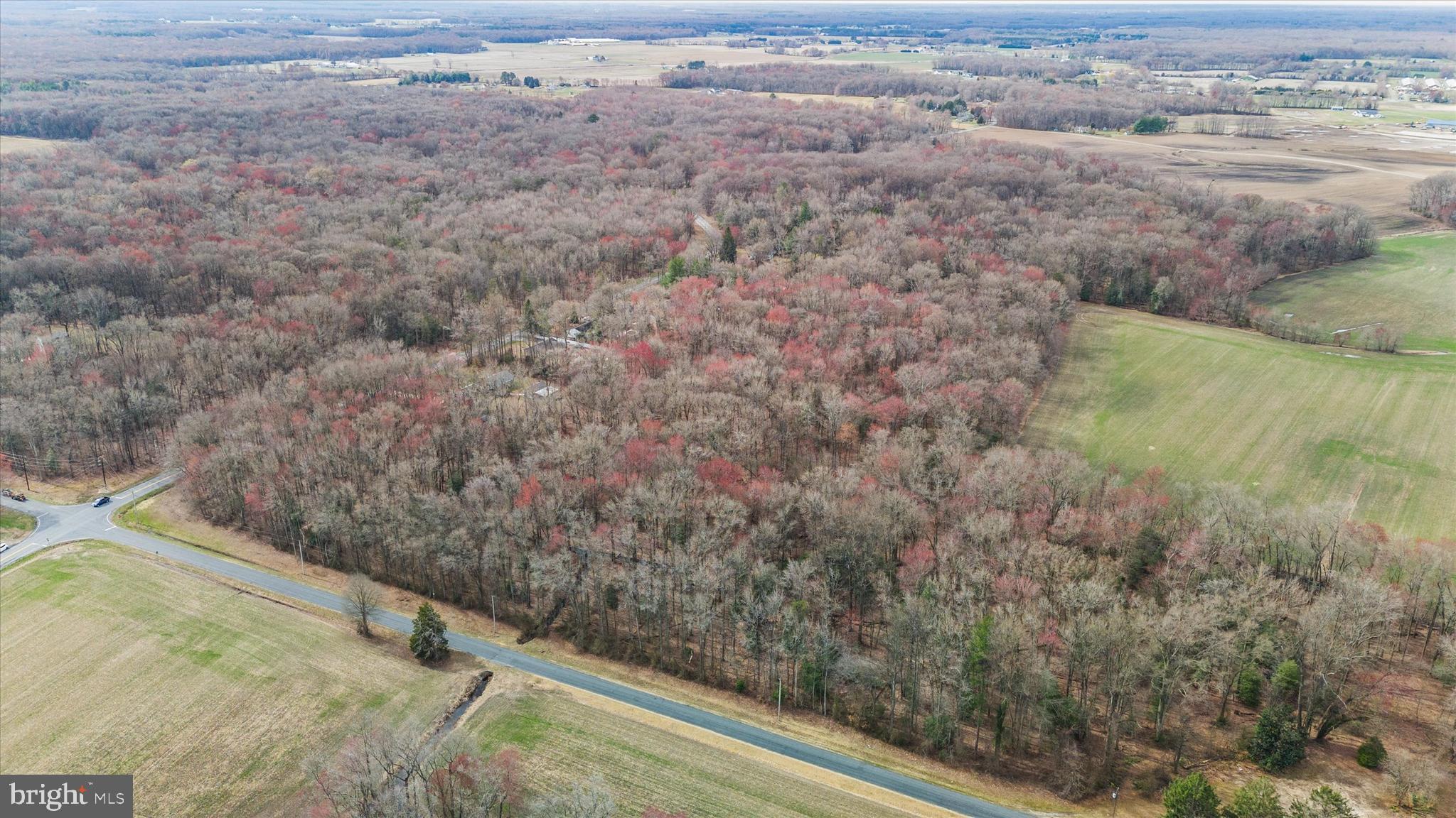 0 Crystal Road Hartly, DE 19953 - Photo 13 of 15
