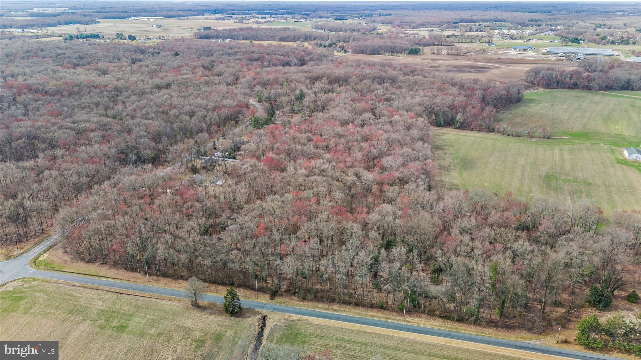 0 Crystal Road Hartly, DE 19953 - Photo 14 of 15