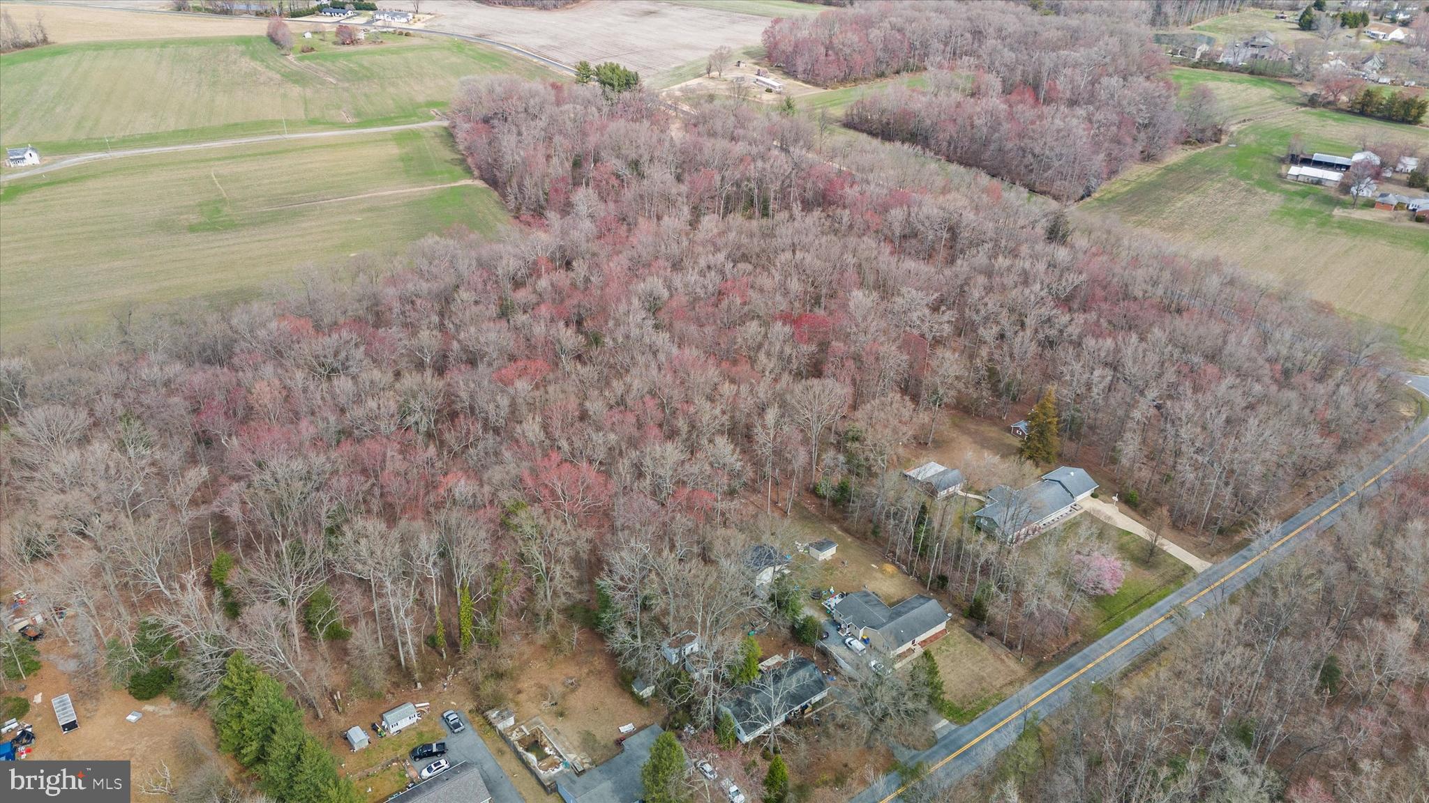 0 Crystal Road Hartly, DE 19953 - Photo 5 of 15