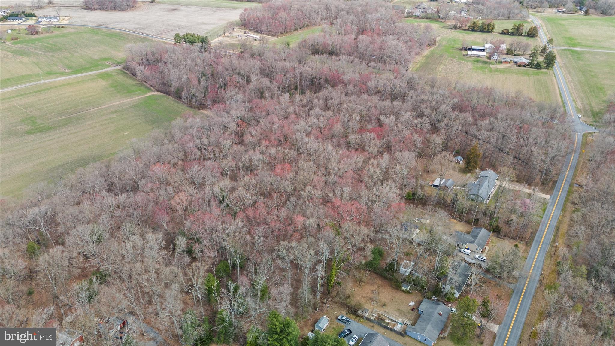 0 Crystal Road Hartly, DE 19953 - Photo 6 of 15