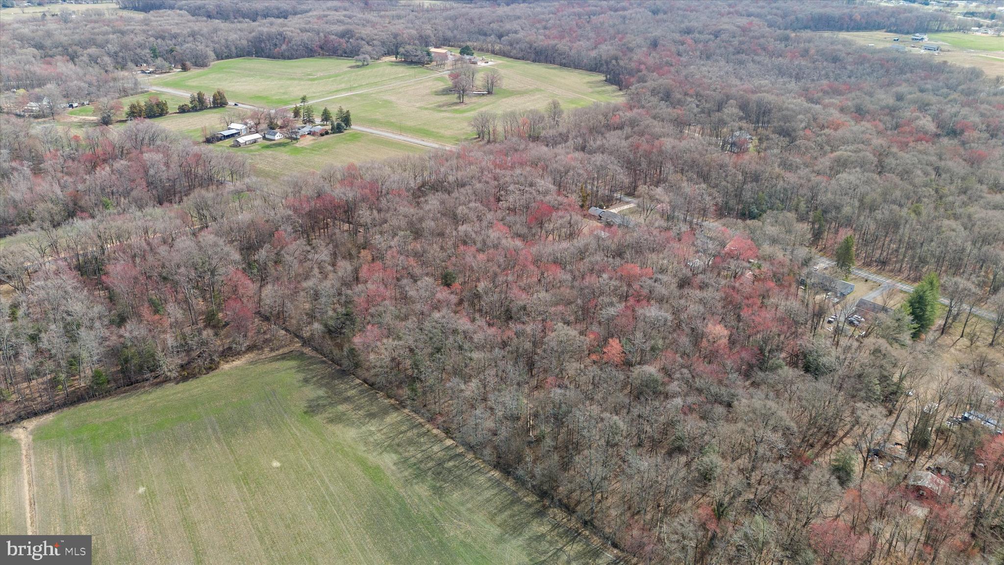 0 Crystal Road Hartly, DE 19953 - Photo 8 of 15