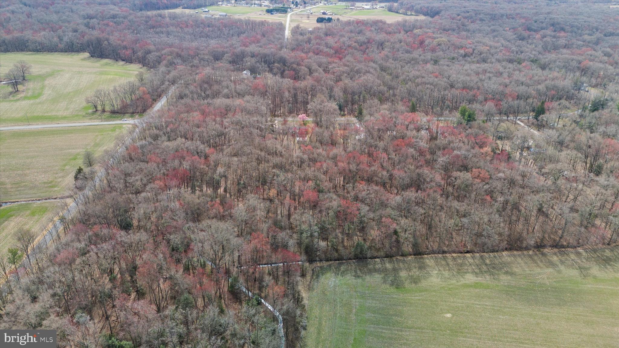 0 Crystal Road Hartly, DE 19953 - Photo 10 of 15