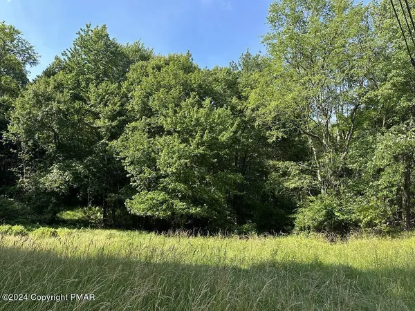 a view of a lake from a yard