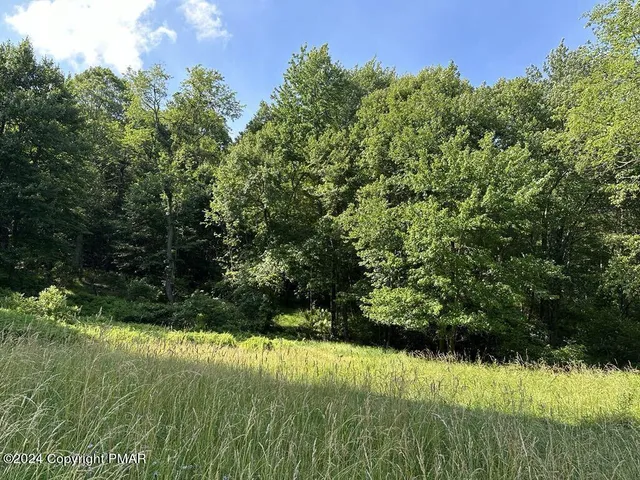 a view of a green yard