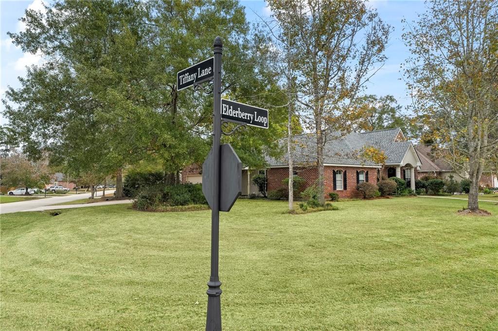 1501 Elderberry Loop Mandeville, LA 70448 - Photo 4 of 29
