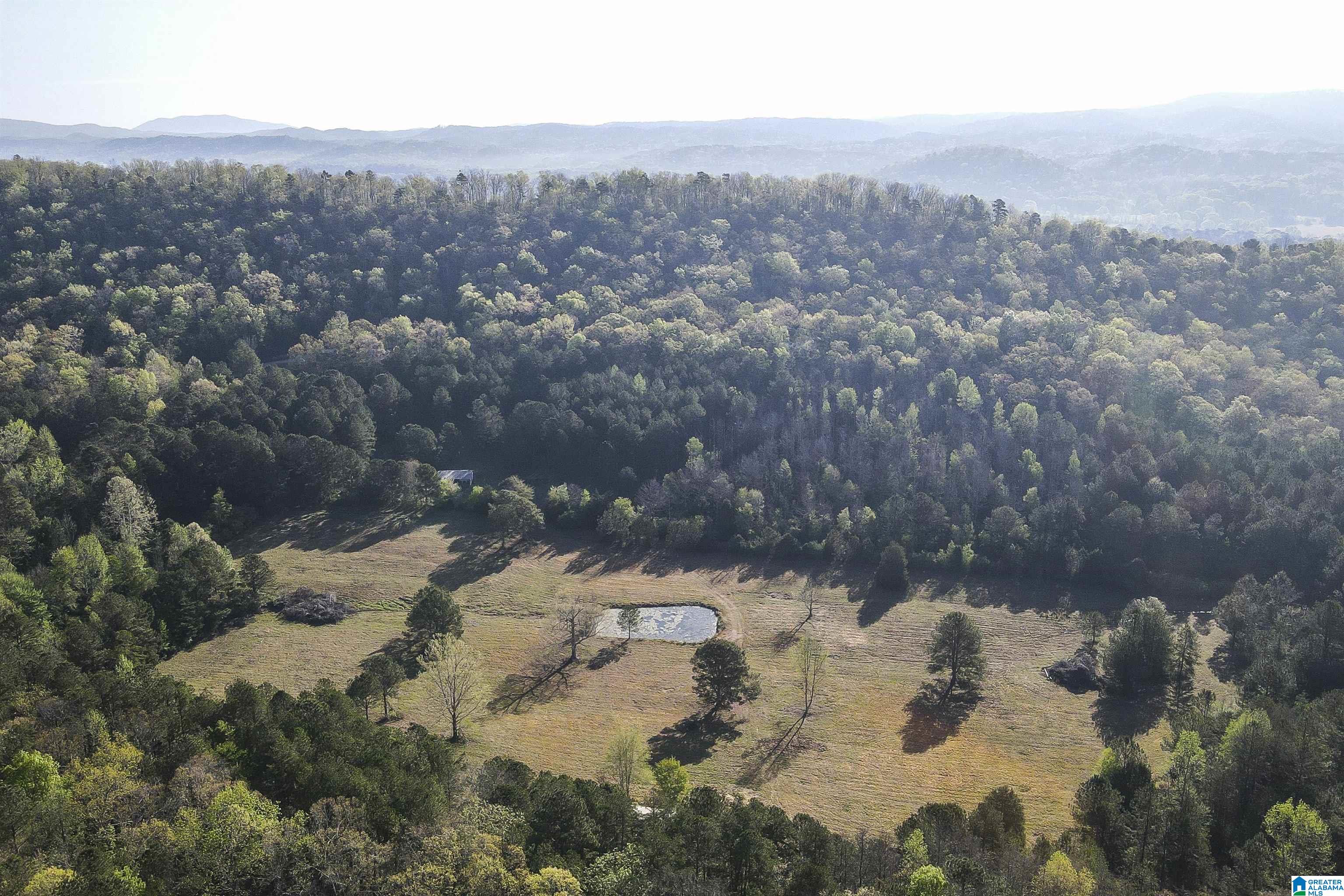 0 Stone Ridge Trail South, Unit 49 95 AC Anniston, AL 36207 - Photo 9 of 22