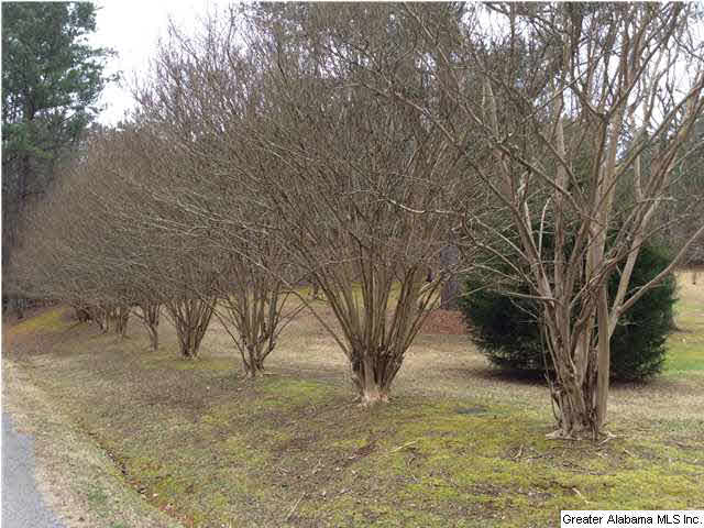 2089 Shanghai Road Springville, AL 35146 - Photo 30 of 31