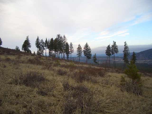 23000 Long Lake Road Ford, WA 99013 - Photo 2 of 5