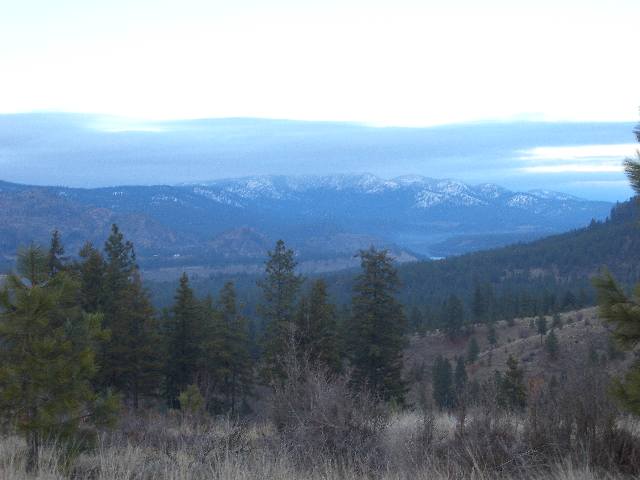 23000 Long Lake Road Ford, WA 99013 - Photo 4 of 5