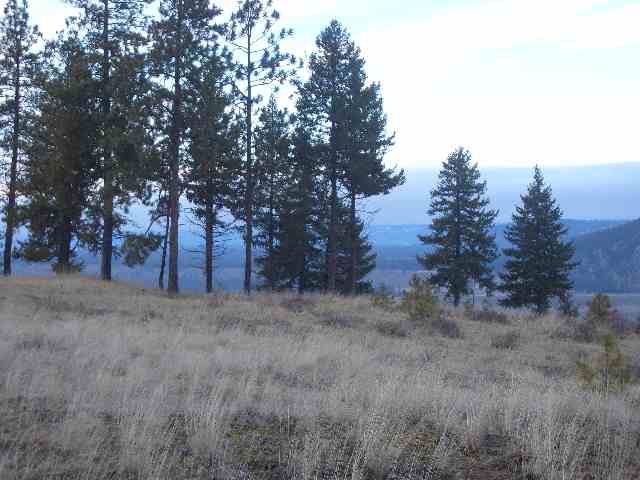 23000 Long Lake Road Ford, WA 99013 - Photo 5 of 5