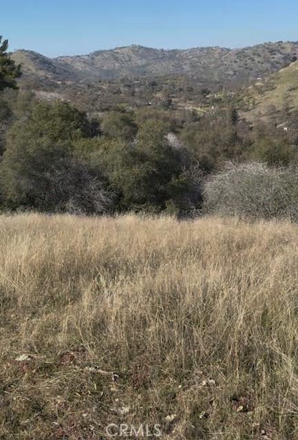0 Chuckwagon Road Squaw Valley, CA 93675 - Photo 2 of 5 Gallery Image 2