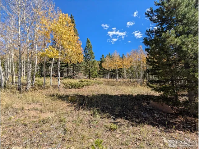 $414,900 | 11 Bear Gulch Road, Red Feather Lakes, CO 80545