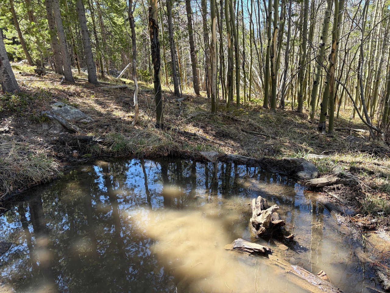11 Bear Gulch Road Red Feather Lakes, CO 80545 - Photo 19 of 24