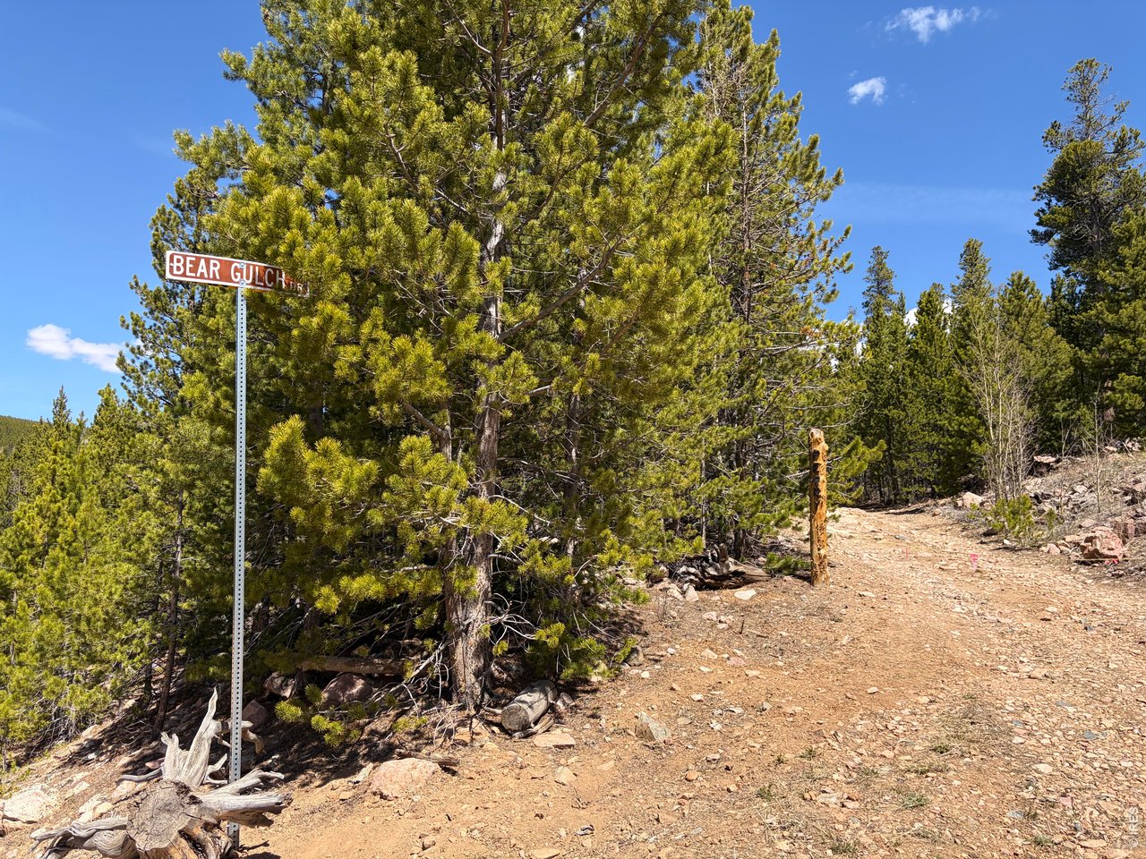 11 Bear Gulch Road Red Feather Lakes, CO 80545 - Photo 20 of 24