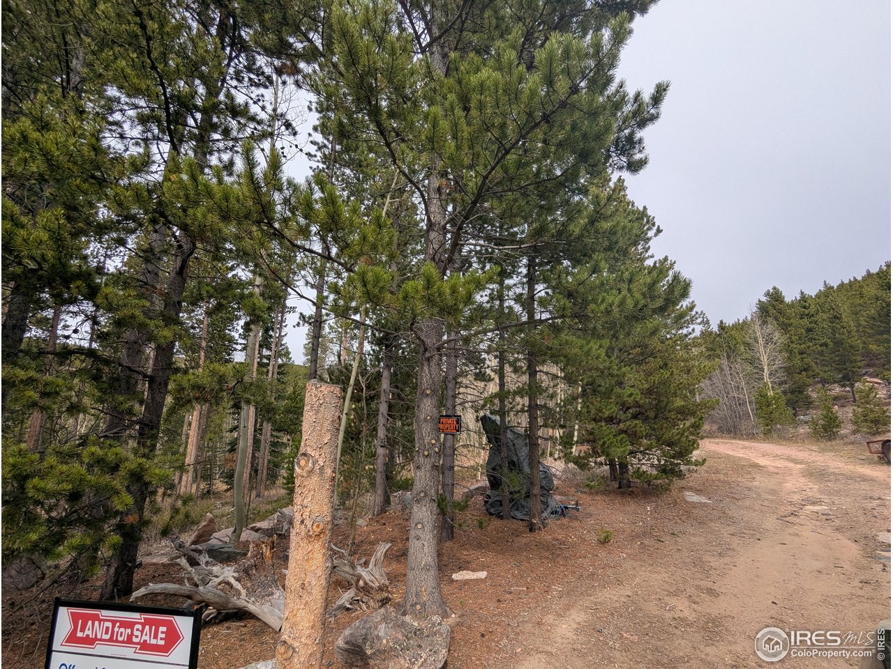 11 Bear Gulch Road Red Feather Lakes, CO 80545 - Photo 21 of 24
