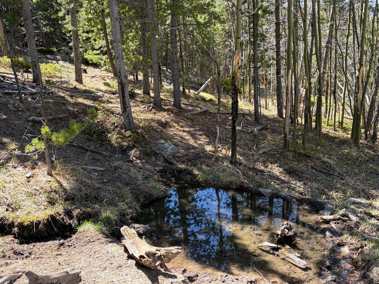 11 Bear Gulch Road Red Feather Lakes, CO 80545 - Photo 22 of 24