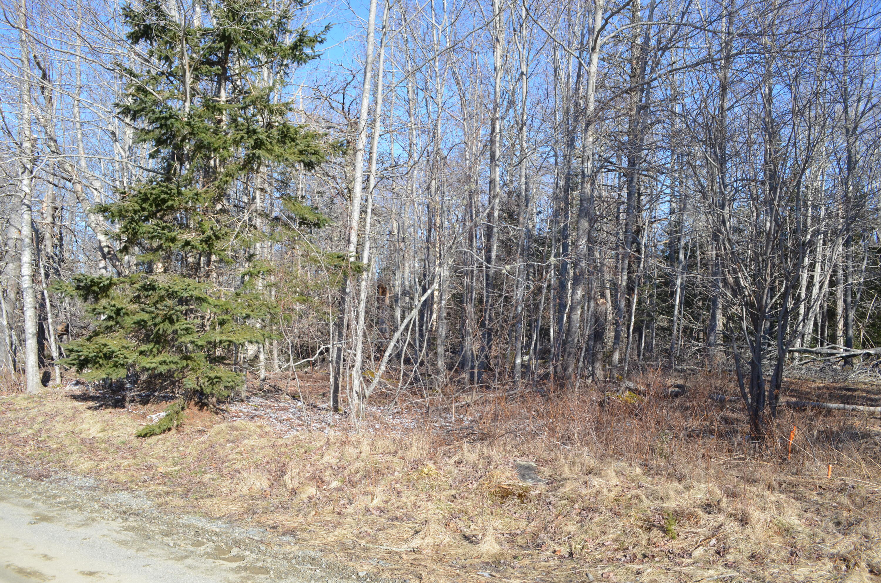 Lot 22 Spindle Road Ellsworth, ME 04605 - Photo 13 of 34 DSC_0019 Survey Market on Right side of