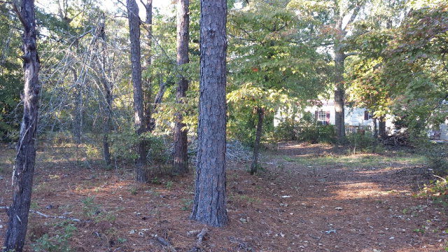 317 Talatha Church Road Aiken, SC 29803 - Photo 3 of 4