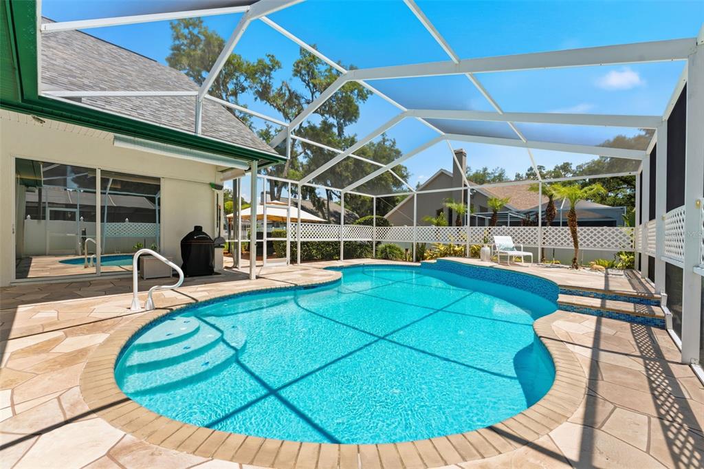 3406 Sylvan Shadow Street Valrico, FL 33596 - Photo 29 of 49