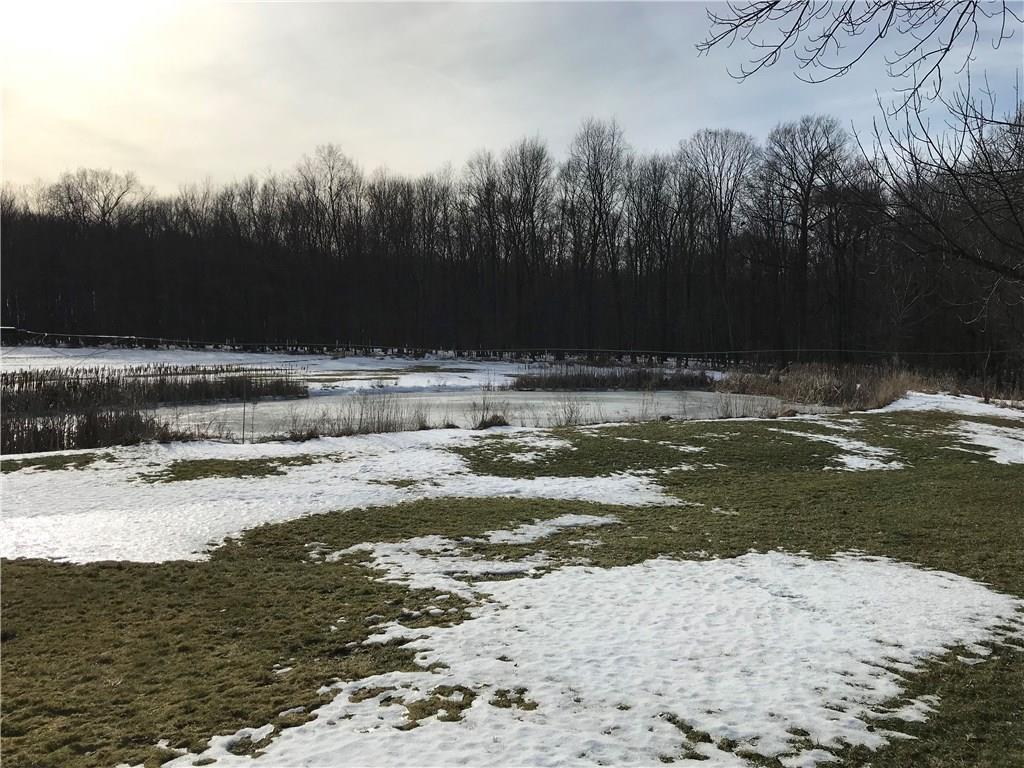 262 North State Line Road Greenville, PA 16125 - Photo 19 of 19 Pond