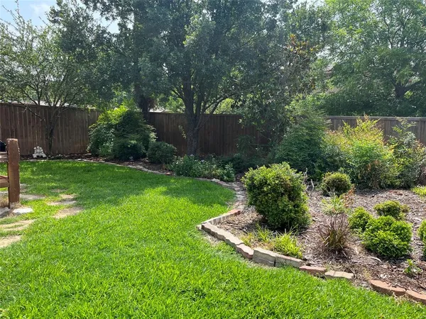 a view of a garden with plants