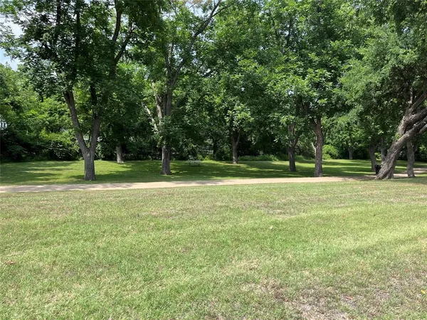 a view of a park with large trees