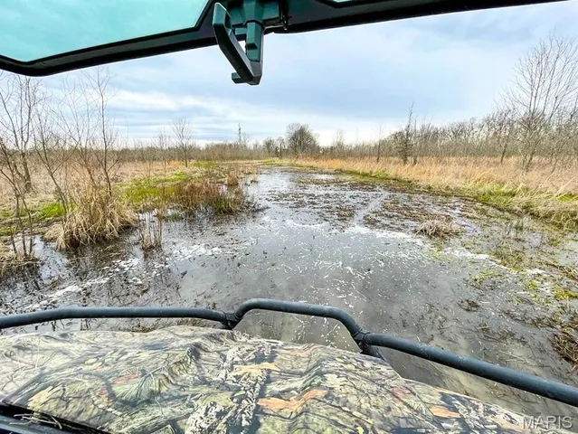 $296,000 | 0 Highway 53- Wetland Acreage, Campbell, MO 63933