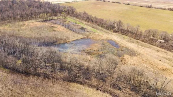 $296,000 | 0 Highway 53- Wetland Acreage, Campbell, MO 63933