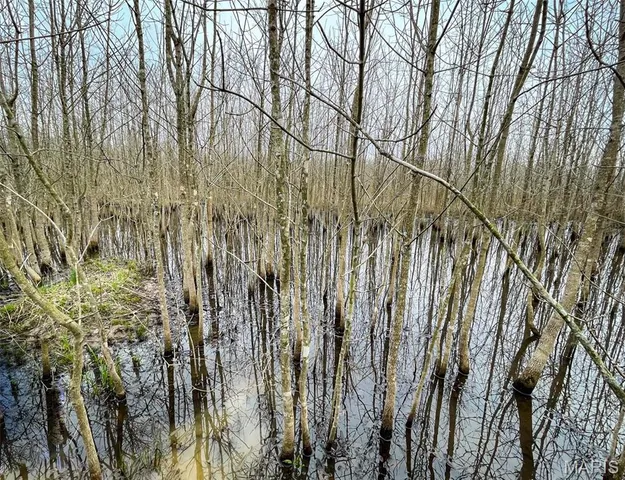 $296,000 | 0 Highway 53- Wetland Acreage, Campbell, MO 63933