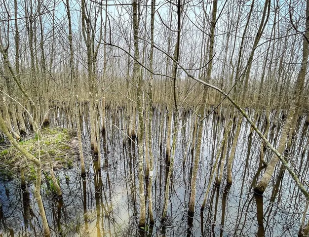 $296,000 | 0 Highway 53- Wetland Acreage, Campbell, MO 63933