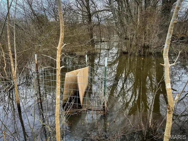 $296,000 | 0 Highway 53- Wetland Acreage, Campbell, MO 63933