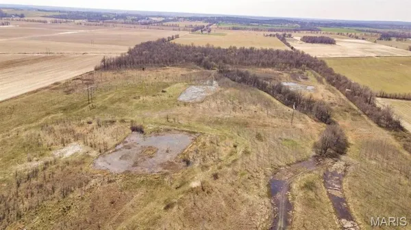 $296,000 | 0 Highway 53- Wetland Acreage, Campbell, MO 63933